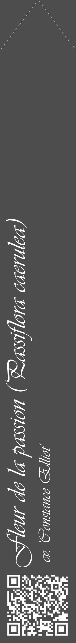 Étiquette de : Passiflora caerulea cv. 'Constance Elliot' - format c - style blanche28_simple_simpleviv avec qrcode et comestibilité - position verticale