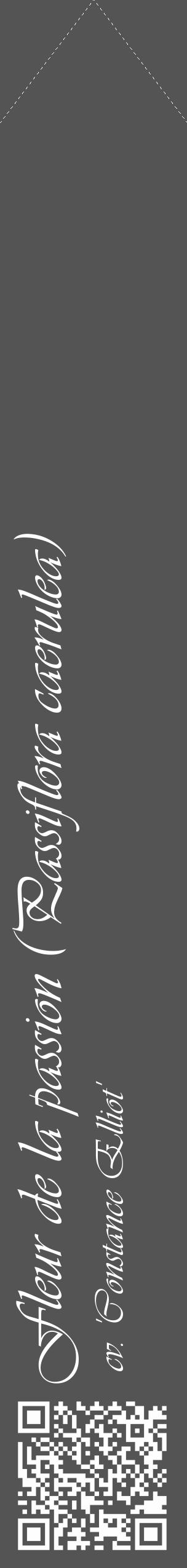 Étiquette de : Passiflora caerulea cv. 'Constance Elliot' - format c - style blanche30_simple_simpleviv avec qrcode et comestibilité - position verticale
