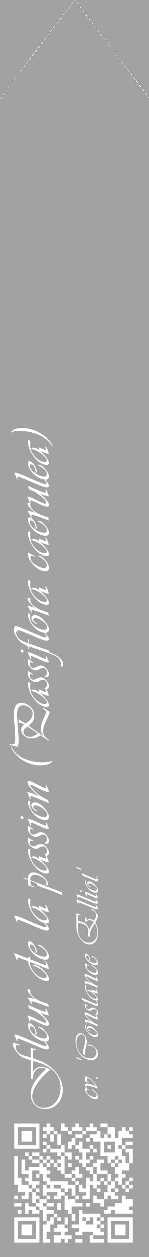 Étiquette de : Passiflora caerulea cv. 'Constance Elliot' - format c - style blanche38_simple_simpleviv avec qrcode et comestibilité - position verticale