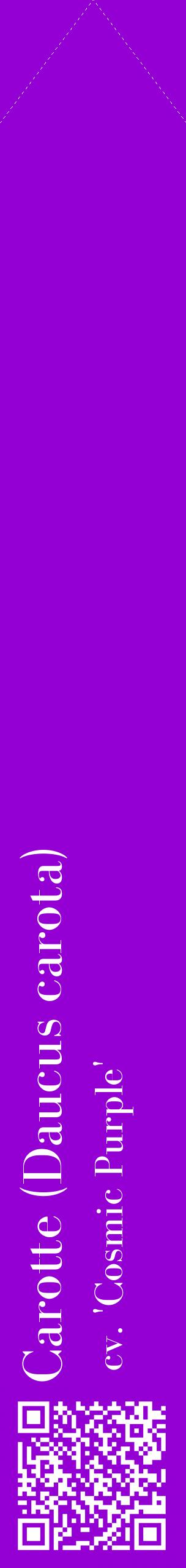 Étiquette de : Daucus carota cv. 'Cosmic Purple' - format c - style blanche48_simplebod avec qrcode et comestibilité