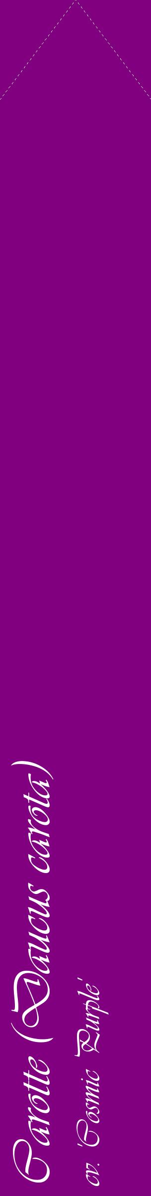 Étiquette de : Daucus carota cv. 'Cosmic Purple' - format c - style blanche46_simpleviv avec comestibilité