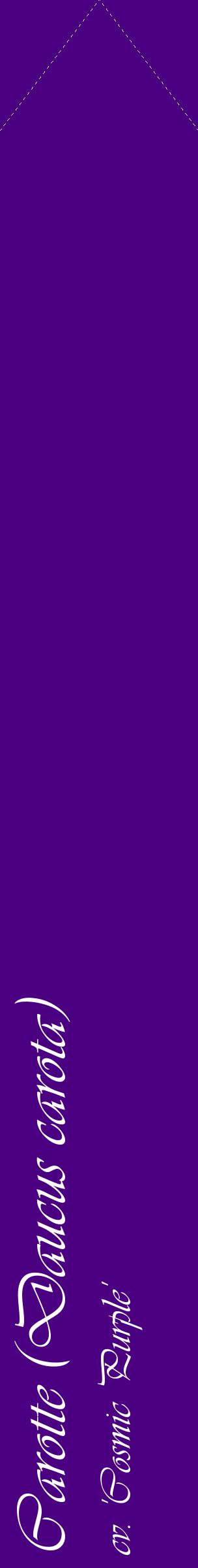 Étiquette de : Daucus carota cv. 'Cosmic Purple' - format c - style blanche47_simpleviv avec comestibilité