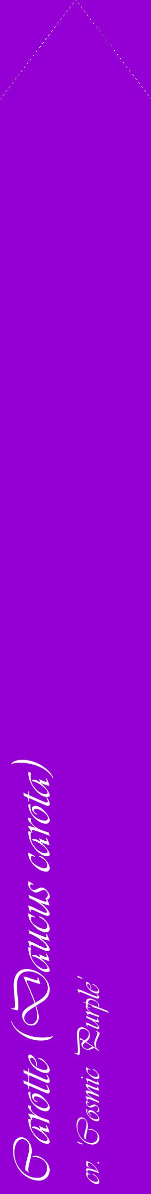 Étiquette de : Daucus carota cv. 'Cosmic Purple' - format c - style blanche48_simpleviv avec comestibilité