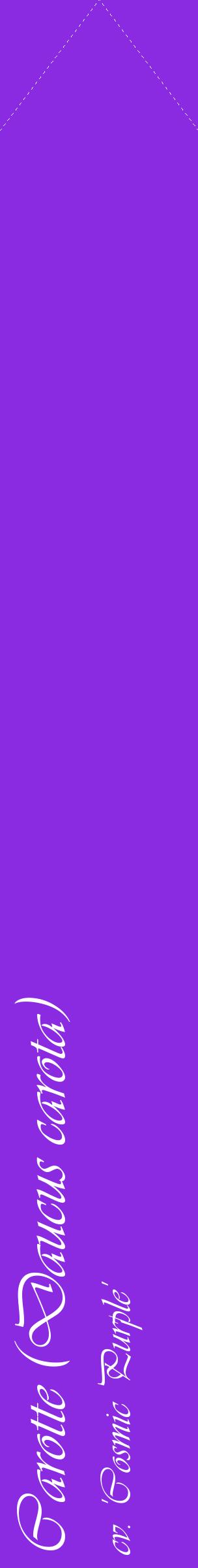 Étiquette de : Daucus carota cv. 'Cosmic Purple' - format c - style blanche49_simpleviv avec comestibilité