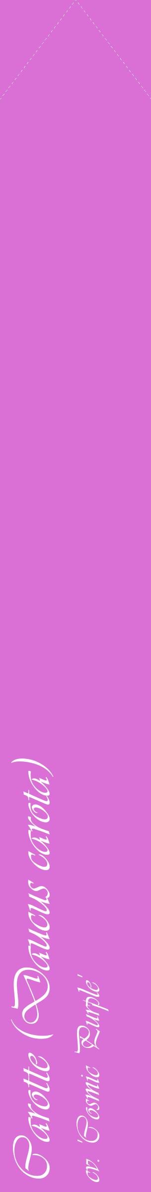 Étiquette de : Daucus carota cv. 'Cosmic Purple' - format c - style blanche52_simpleviv avec comestibilité