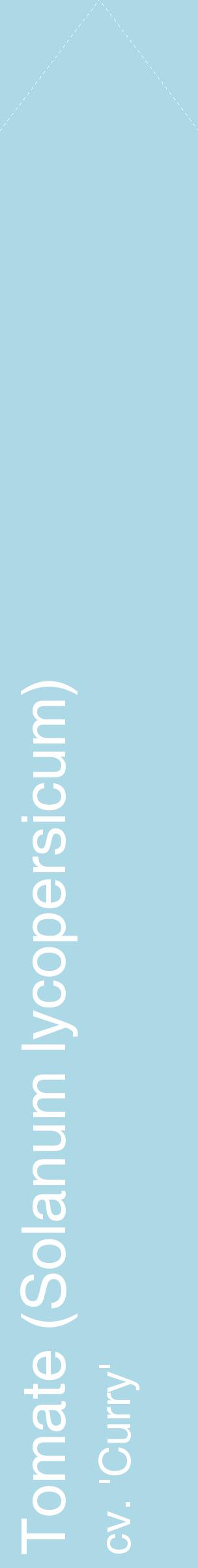 Étiquette de : Solanum lycopersicum cv. 'Curry' - format c - style blanche0_simplehel avec comestibilité