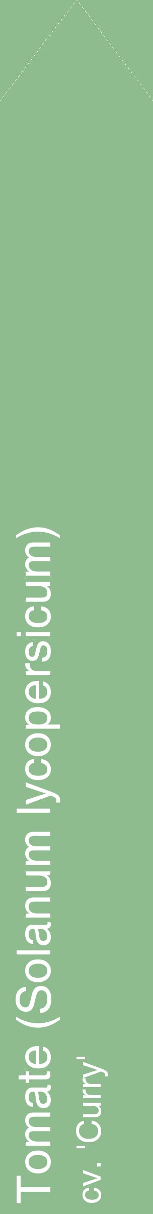 Étiquette de : Solanum lycopersicum cv. 'Curry' - format c - style blanche13_simplehel avec comestibilité