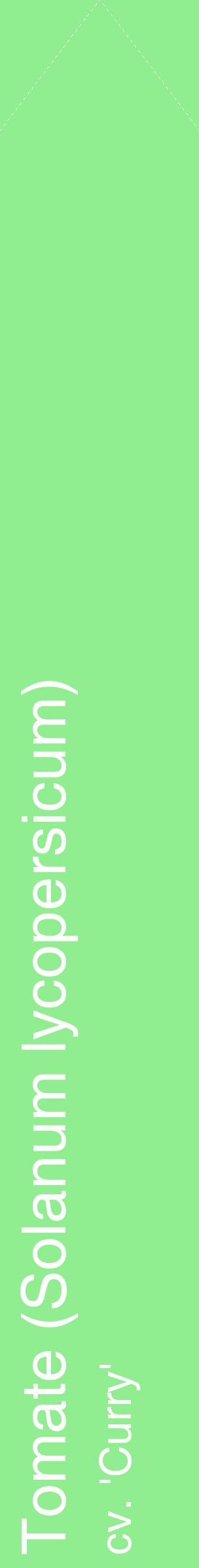 Étiquette de : Solanum lycopersicum cv. 'Curry' - format c - style blanche15_simplehel avec comestibilité