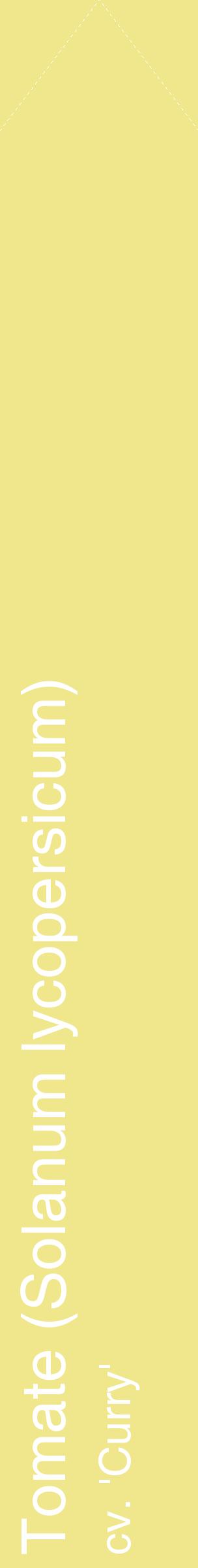 Étiquette de : Solanum lycopersicum cv. 'Curry' - format c - style blanche20_simplehel avec comestibilité