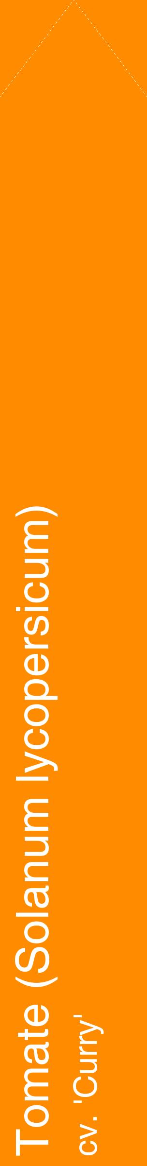 Étiquette de : Solanum lycopersicum cv. 'Curry' - format c - style blanche23_simplehel avec comestibilité
