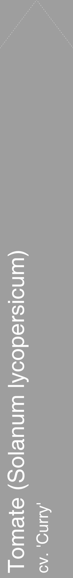 Étiquette de : Solanum lycopersicum cv. 'Curry' - format c - style blanche23_simple_simplehel avec comestibilité - position verticale