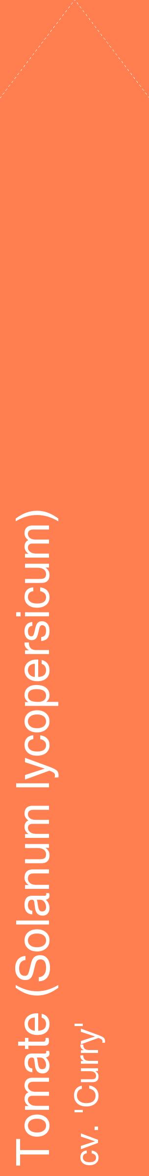 Étiquette de : Solanum lycopersicum cv. 'Curry' - format c - style blanche24_simplehel avec comestibilité