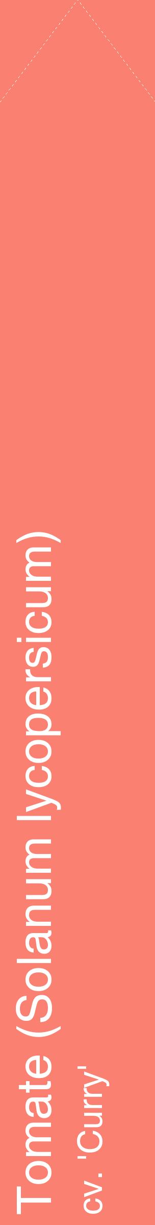 Étiquette de : Solanum lycopersicum cv. 'Curry' - format c - style blanche38_simplehel avec comestibilité