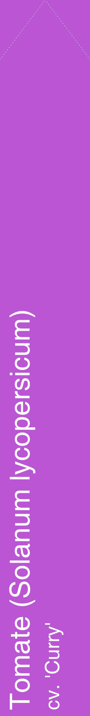 Étiquette de : Solanum lycopersicum cv. 'Curry' - format c - style blanche50_simplehel avec comestibilité