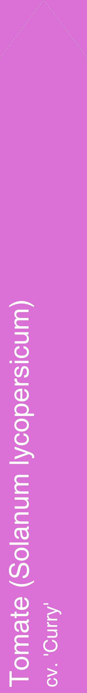Étiquette de : Solanum lycopersicum cv. 'Curry' - format c - style blanche52_simplehel avec comestibilité