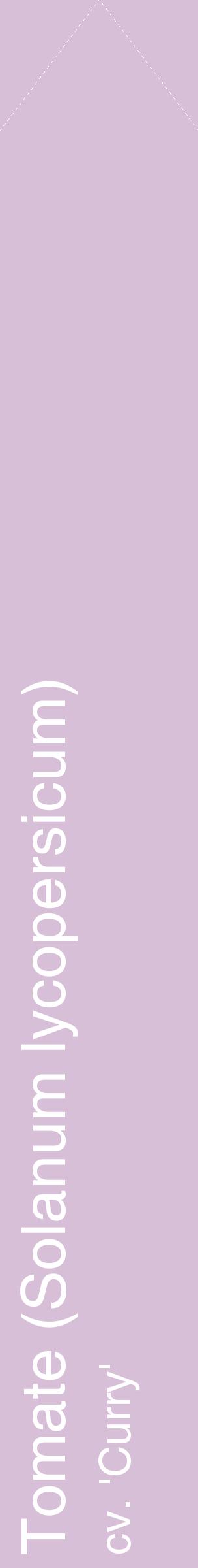 Étiquette de : Solanum lycopersicum cv. 'Curry' - format c - style blanche54_simplehel avec comestibilité