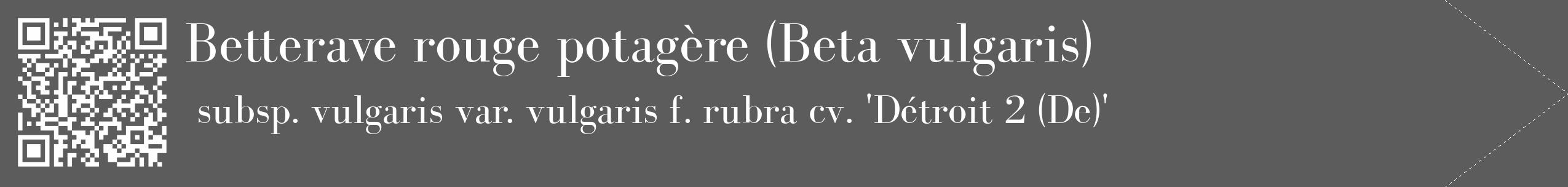 Étiquette de : Beta vulgaris subsp. vulgaris var. vulgaris f. rubra cv. 'Détroit 2 (De)' - format c - style blanche49_simple_simplebod avec qrcode et comestibilité