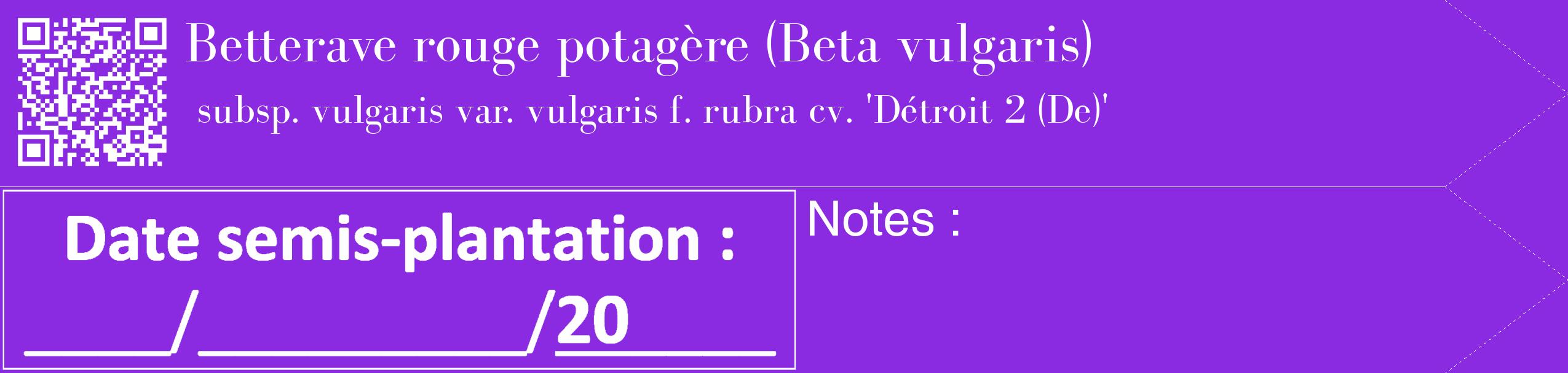 Étiquette de : Beta vulgaris subsp. vulgaris var. vulgaris f. rubra cv. 'Détroit 2 (De)' - format c - style blanche49_simple_simplebod avec qrcode et comestibilité