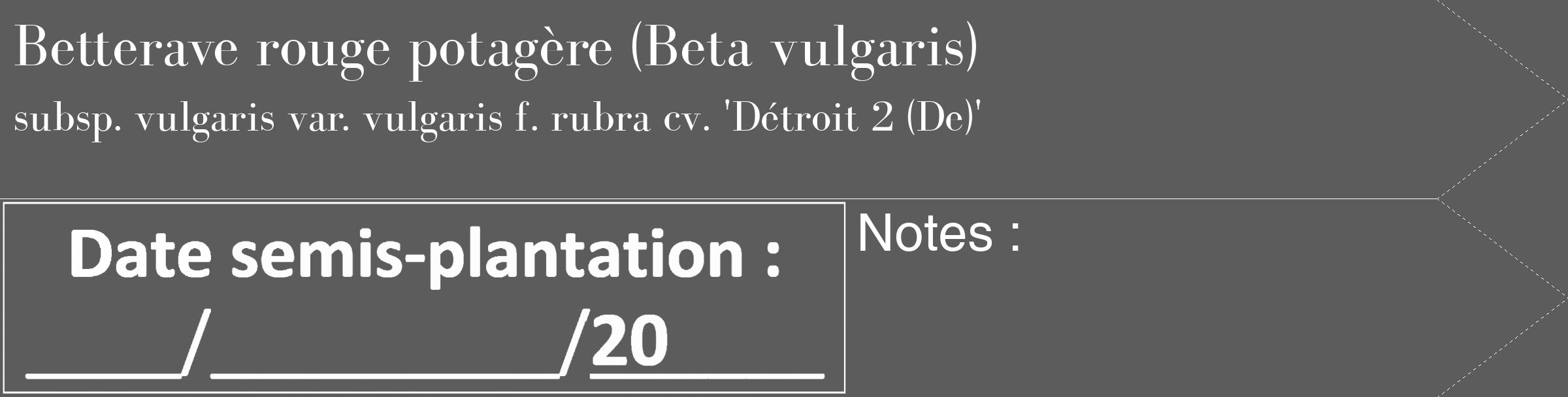 Étiquette de : Beta vulgaris subsp. vulgaris var. vulgaris f. rubra cv. 'Détroit 2 (De)' - format c - style blanche49_simple_simplebod avec comestibilité