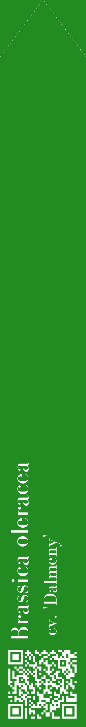 Étiquette de : Brassica oleracea cv. 'Dalmeny' - format c - style blanche10_simplebod avec qrcode et comestibilité