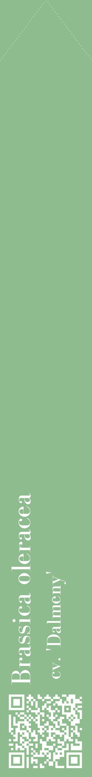 Étiquette de : Brassica oleracea cv. 'Dalmeny' - format c - style blanche13_simplebod avec qrcode et comestibilité
