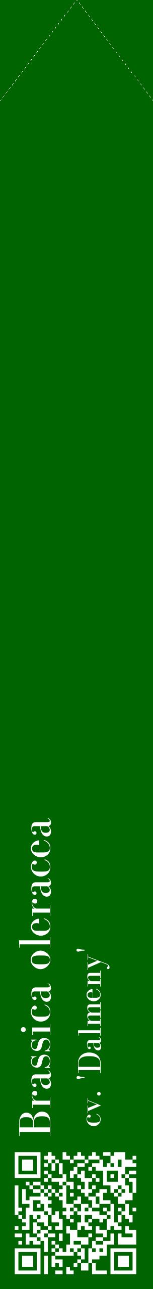 Étiquette de : Brassica oleracea cv. 'Dalmeny' - format c - style blanche8_simplebod avec qrcode et comestibilité