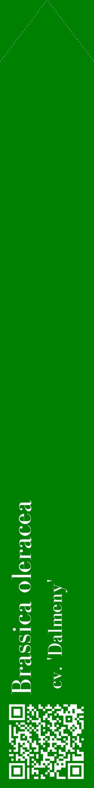Étiquette de : Brassica oleracea cv. 'Dalmeny' - format c - style blanche9_simplebod avec qrcode et comestibilité