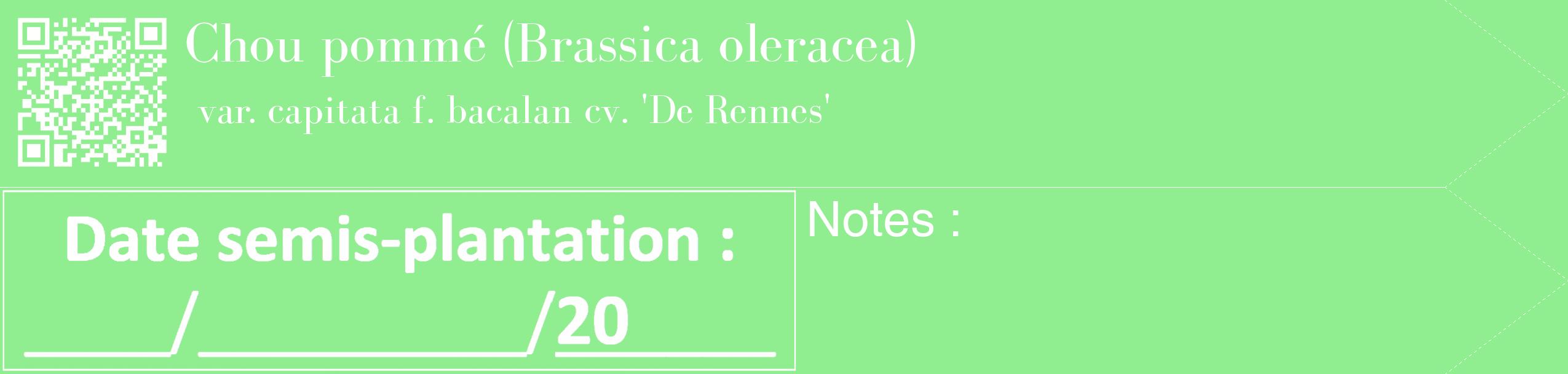 Étiquette de : Brassica oleracea var. capitata f. bacalan cv. 'De Rennes' - format c - style blanche15_simple_simplebod avec qrcode et comestibilité