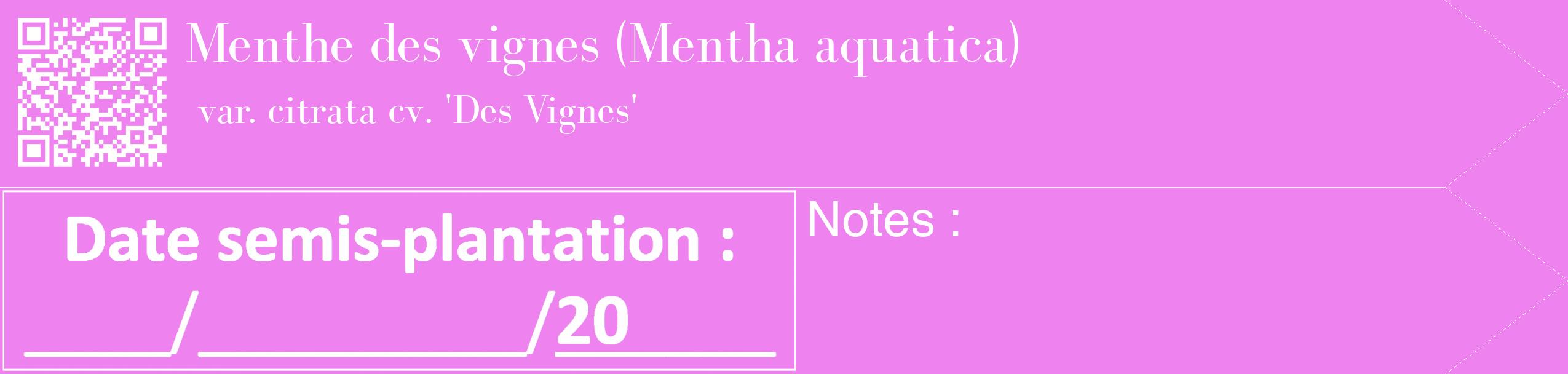 Étiquette de : Mentha aquatica var. citrata cv. 'Des Vignes' - format c - style blanche53_simple_simplebod avec qrcode et comestibilité