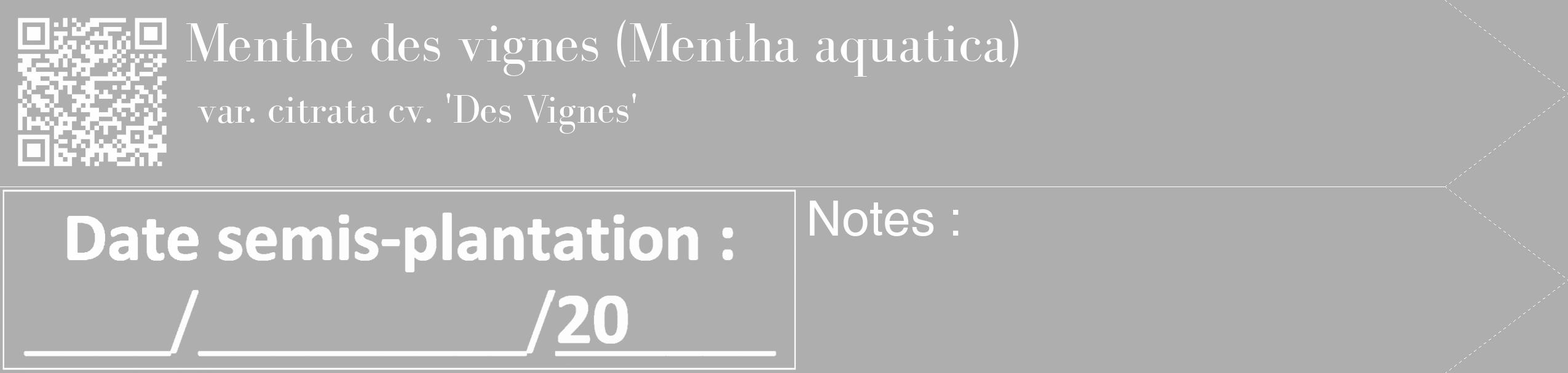 Étiquette de : Mentha aquatica var. citrata cv. 'Des Vignes' - format c - style blanche53_simple_simplebod avec qrcode et comestibilité