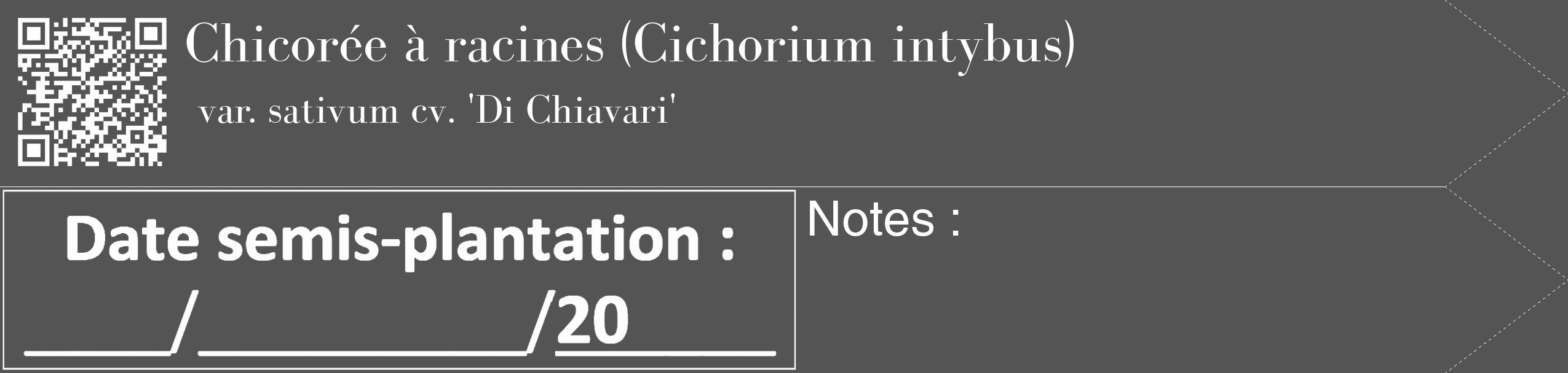 Étiquette de : Cichorium intybus var. sativum cv. 'Di Chiavari' - format c - style blanche36_simple_simplebod avec qrcode et comestibilité