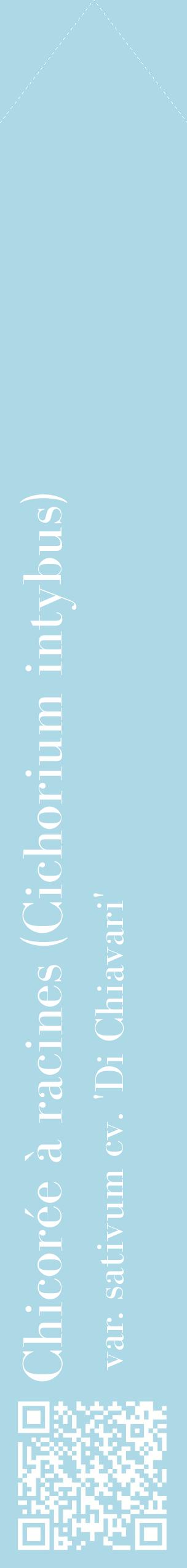 Étiquette de : Cichorium intybus var. sativum cv. 'Di Chiavari' - format c - style blanche0_simplebod avec qrcode et comestibilité
