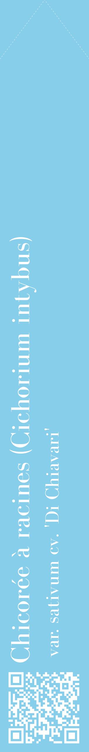 Étiquette de : Cichorium intybus var. sativum cv. 'Di Chiavari' - format c - style blanche1_simple_simplebod avec qrcode et comestibilité - position verticale