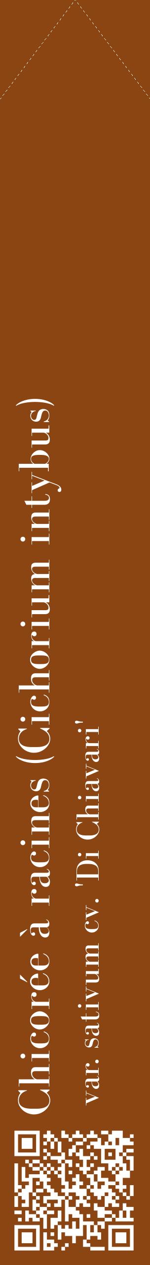 Étiquette de : Cichorium intybus var. sativum cv. 'Di Chiavari' - format c - style blanche30_simplebod avec qrcode et comestibilité