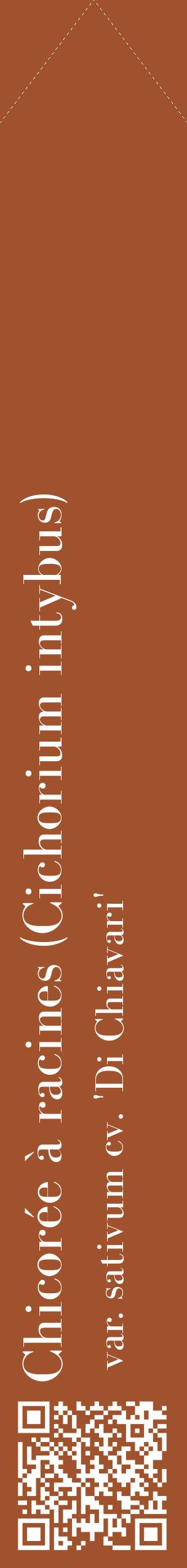 Étiquette de : Cichorium intybus var. sativum cv. 'Di Chiavari' - format c - style blanche32_simplebod avec qrcode et comestibilité