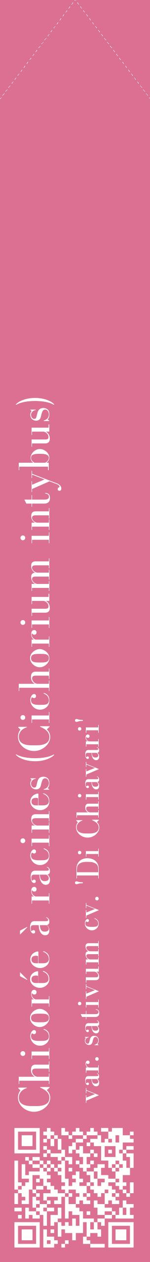 Étiquette de : Cichorium intybus var. sativum cv. 'Di Chiavari' - format c - style blanche44_simplebod avec qrcode et comestibilité