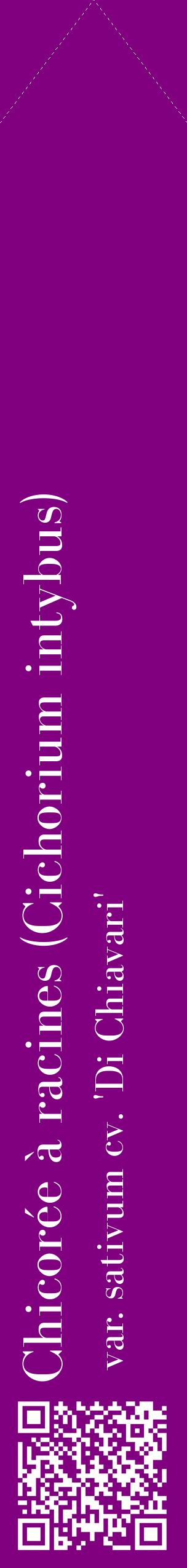 Étiquette de : Cichorium intybus var. sativum cv. 'Di Chiavari' - format c - style blanche46_simplebod avec qrcode et comestibilité