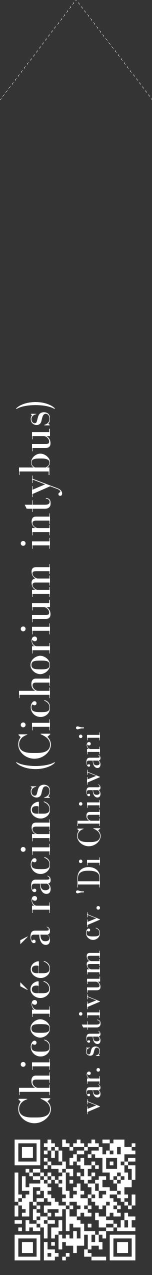 Étiquette de : Cichorium intybus var. sativum cv. 'Di Chiavari' - format c - style blanche46_simple_simplebod avec qrcode et comestibilité - position verticale