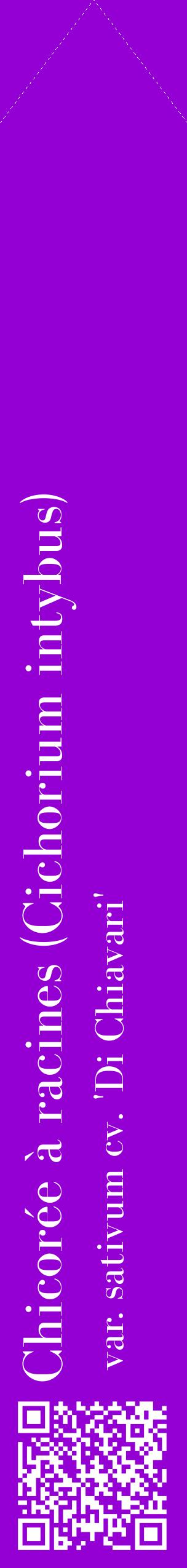 Étiquette de : Cichorium intybus var. sativum cv. 'Di Chiavari' - format c - style blanche48_simplebod avec qrcode et comestibilité