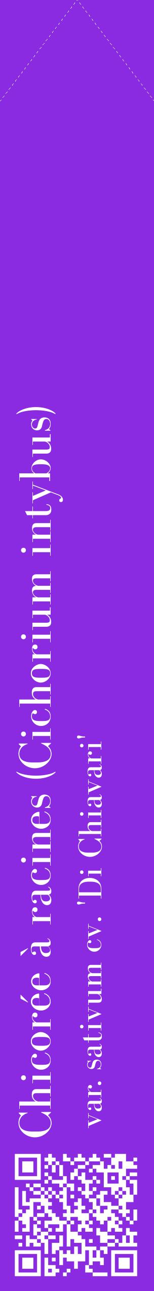 Étiquette de : Cichorium intybus var. sativum cv. 'Di Chiavari' - format c - style blanche49_simplebod avec qrcode et comestibilité