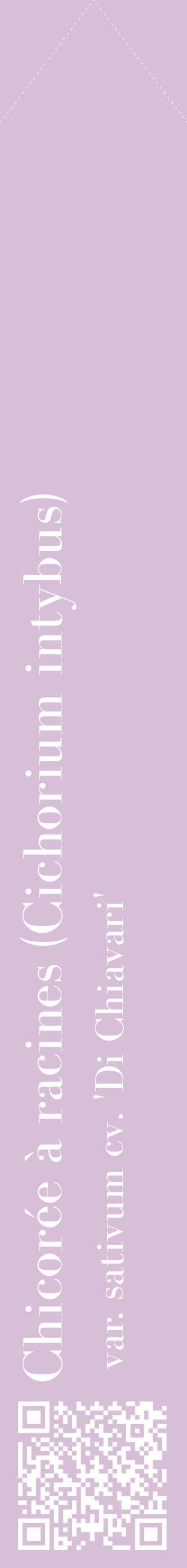 Étiquette de : Cichorium intybus var. sativum cv. 'Di Chiavari' - format c - style blanche54_simplebod avec qrcode et comestibilité