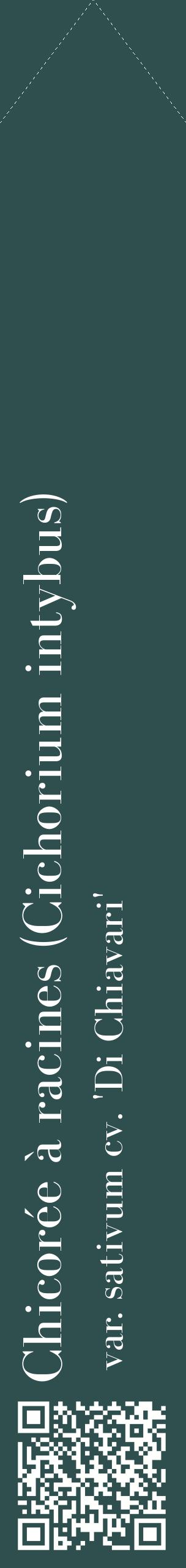 Étiquette de : Cichorium intybus var. sativum cv. 'Di Chiavari' - format c - style blanche58_simplebod avec qrcode et comestibilité