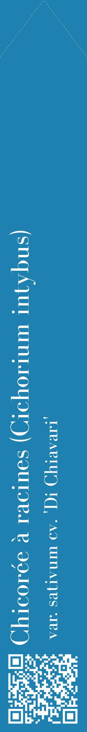 Étiquette de : Cichorium intybus var. sativum cv. 'Di Chiavari' - format c - style blanche6_simplebod avec qrcode et comestibilité
