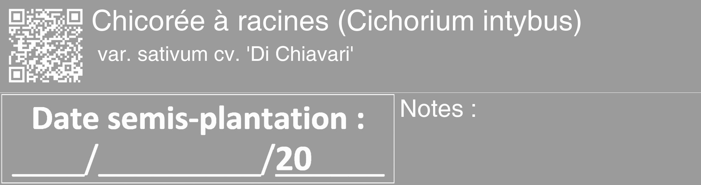 Étiquette de : Cichorium intybus var. sativum cv. 'Di Chiavari' - format c - style blanche52_basique_basiquehel avec qrcode et comestibilité