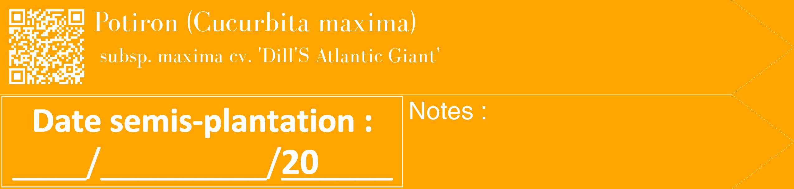Étiquette de : Cucurbita maxima subsp. maxima cv. 'Dill'S Atlantic Giant' - format c - style blanche22_simple_simplebod avec qrcode et comestibilité