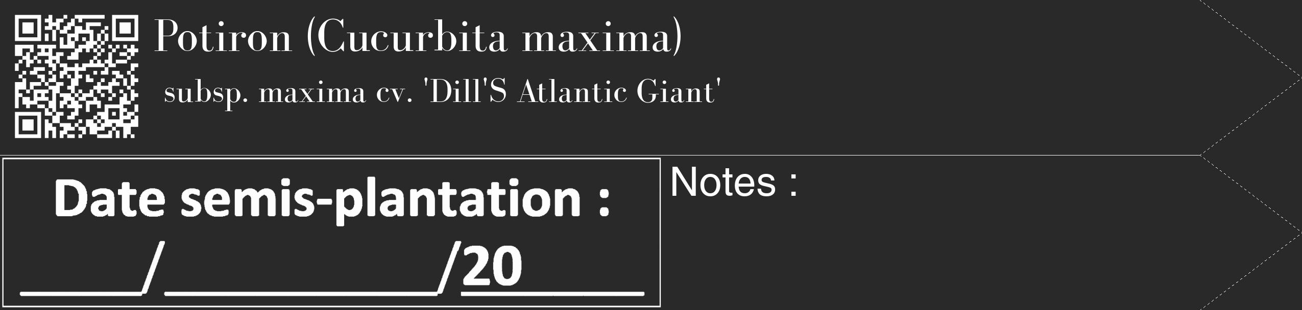 Étiquette de : Cucurbita maxima subsp. maxima cv. 'Dill'S Atlantic Giant' - format c - style blanche34_simple_simplebod avec qrcode et comestibilité
