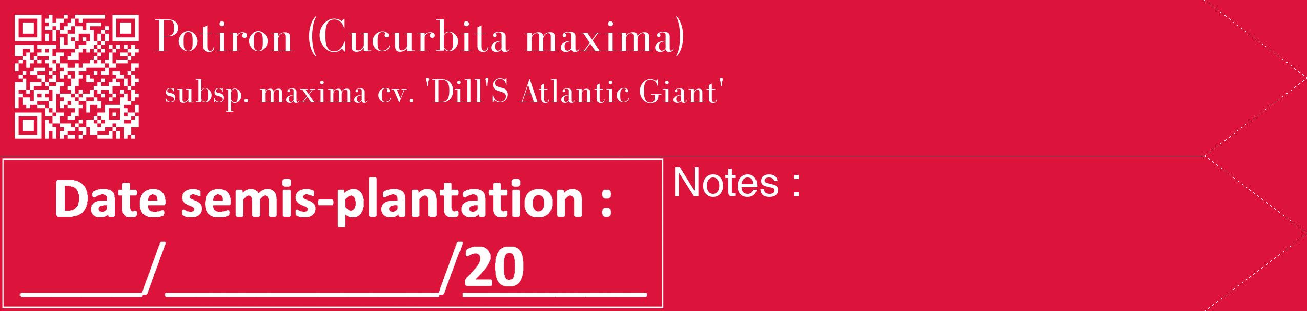 Étiquette de : Cucurbita maxima subsp. maxima cv. 'Dill'S Atlantic Giant' - format c - style blanche36_simple_simplebod avec qrcode et comestibilité