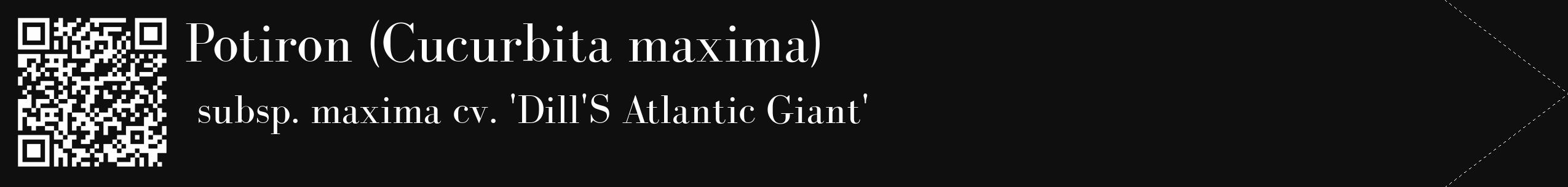 Étiquette de : Cucurbita maxima subsp. maxima cv. 'Dill'S Atlantic Giant' - format c - style blanche7_simple_simplebod avec qrcode et comestibilité