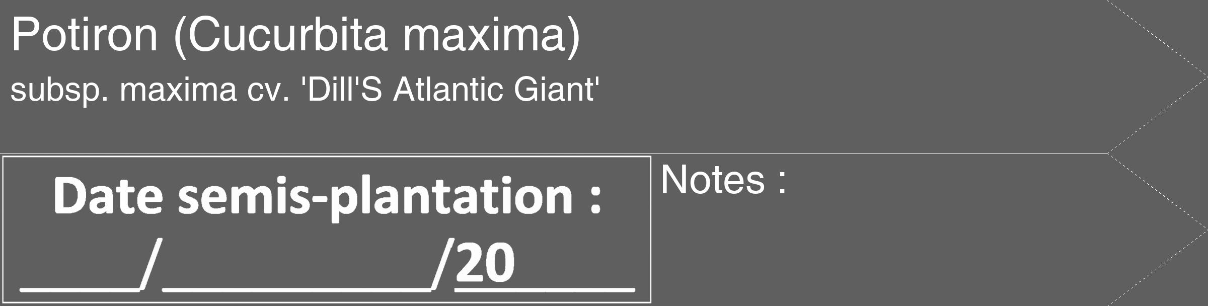 Étiquette de : Cucurbita maxima subsp. maxima cv. 'Dill'S Atlantic Giant' - format c - style blanche10_simple_simplehel avec comestibilité