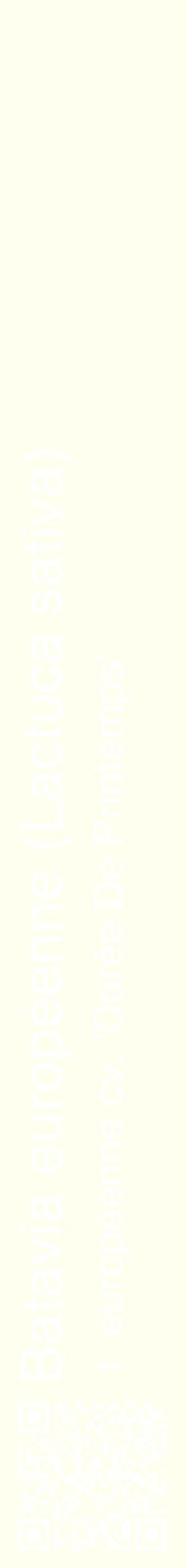 Étiquette de : Lactuca sativa f. européenne cv. 'Dorée De Printemps' - format c - style blanche19_simplehel avec qrcode et comestibilité